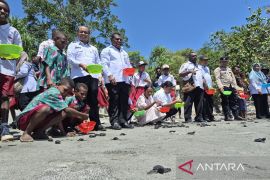 DKP Papua Barat lepasliarkan 120 tukik di Manokwari