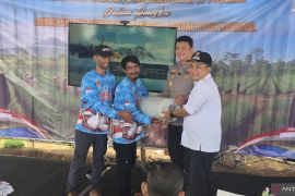 DPKP Sumedang menyiapkan pengembangan potensi budidaya bawang putih