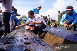 Bupati Kerinci siap kawal perkembangan bawang putih program nasional