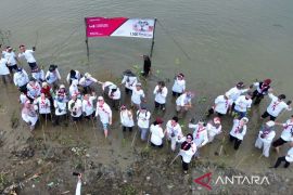 Pemkab Bekasi tanam 1.500 bibit pohon bakau upaya tekan abrasi pesisir utara