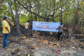 Polres Bangka Barat cegah tambang liar di kawasan mangrove Belolaut