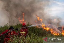 50 kebakaran terjadi di Karawang selama dua pekan ini