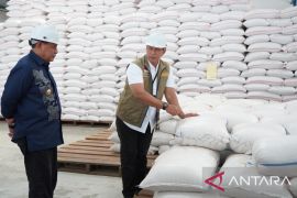 Pemprov Gorontalo percepat bantuan pangan atasi kenaikan harga beras