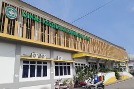 Dinkes Tapin pastikan layanan kesehatan siaga hadapi karhutla