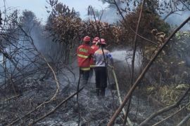 Pemkab Natuna siaga hadapi potensi bencana kekeringan dan karhutla
