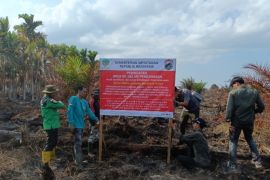 Kemenhut selidiki karhutla di kawasan hutan produksi di Sumsel