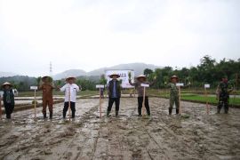 Ringankan beban petani, Pemkab Aceh Selatan gratiskan bajak sawah