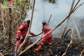 47 dari 434 hektare lahan terbakar di Inderagiri Hulu telah dipadamkan