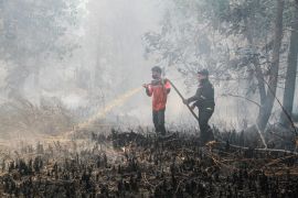 BNPB mendeteksi ada 1.487 titik panas termasuk potensi karhutla di Pulau Kalimantan