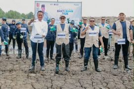 BSI bantu pemulihan pesisir Aceh Tamiang lewat penanaman 15 ribu mangrove