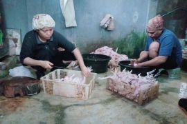 Distan Mataram memperketat pengawasan pemotongan unggas mandiri