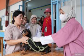 Sudin KPKP Jaktim vaksinasi 1.600 hewan wujudkan Jakarta bebas rabies