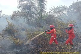 Manggala Agni tangani karhutla 115 hektare di Musi Banyuasin