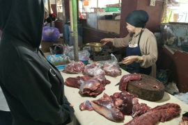 Distan Mataram memastikan pasokan sapi aman jelang Maulid Nabi 1448 H