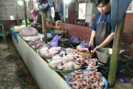 Harga daging ayam di Mataram lampaui HAP