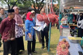 Pemkab Magetan dukung BUMDes UMKM Fair demi gerakkan ekonomi desa