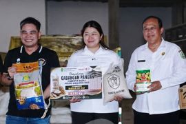 Pemkab Mahulu siapkan 16,7 ton pangan murah untuk warga di dua kecamatan