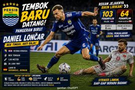 Profil Tembok Baru Persib Danijel Loncar