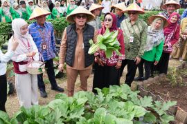 Pengembangan Smart Farming butuh kolaborasi lintas sektor