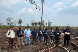 Riau police deploy five experts to probe forest fire case