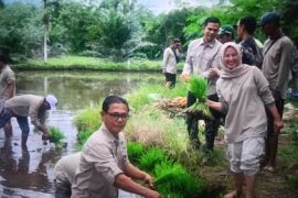 Pemkab Pasaman Barat salurkan dana desa Rp15,5 miliar ke 90 nagari
