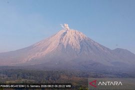 Gunung Semeru erupsi dengan tinggi letusan 800 meter di atas puncak