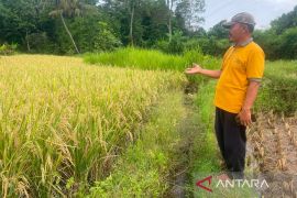 Pemkab Kuningan menerima hibah sumur JIAT senilai Rp1,48 miliar