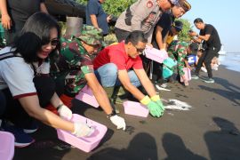 Wabup Buleleng pimpin pelepasliaran 200 ekor tukik di Pantai Banjar