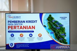 Pemkab Paluta dorong petani manfaatkan kredit pertanian untuk perkuat ketapang