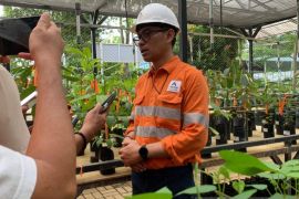 PTAR Kembangkan Mikoriza untuk Perkuat Reklamasi dan Restorasi lahan