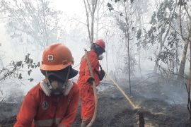 Ministry instructs six governors to step up wildfire response