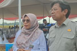 Kementan sebut program PM AAS tambah produktivitas pertanian di Lampung