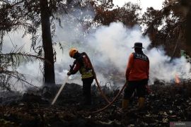 BMKG warns wildfire smoke could cross into neighboring countries