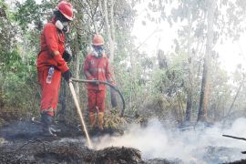 Pemerintah optimalkan modifikasi cuaca atasi karhutla Kalimantan