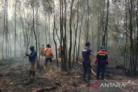 Satgas padamkan karhutla di Sungai Rotan Muara Enim dari jalur udara