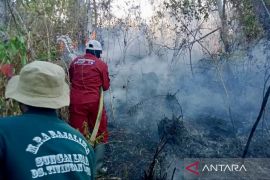 Pemerintah tetapkan operasi darat ujung tombak penanganan karhutla