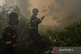 Palangka Raya perkuat pencegahan dan penanganan karhutla lewat Perda