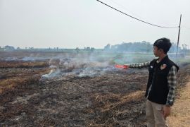 Polres HSS amankan dua warga tertangkap tangan membakar lahan