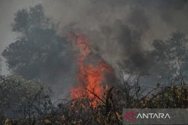Indonesian police step up crackdown on forest, land fires