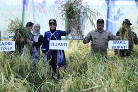 Pemkab Berau tarik minat generasi muda ke pertanian