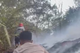 Pemkab Mahulu perkuat kolaborasi lindungi hutan lestari