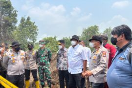  85 ribu hektare wilayah konsesi di Indonesia terbakar