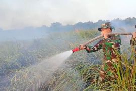 Kodam XXI kerahkan prajurit Yonif bantu pemadaman karhutla TNWK