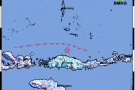 BMKG: Gempa magnitudo 5,2 di Flores tidak berpotensi tsunami
