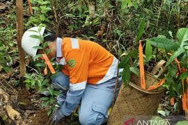 PTAR targetkan restorasi 500 hektare kawasan hingga 2034