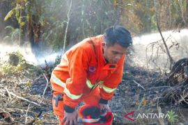 Cegah eskalasi titik api, pemerintah prioritaskan mitigasi karhutla terpadu di enam provinsi