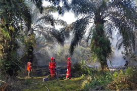 Perusahaan Migas PetroChina Jabung bantu padamkan Karhutla di Jambi