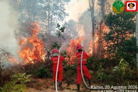 Enam Provinsi di Kalimantan dan Sumatera Jadi Prioritas Penanganan Karhutla