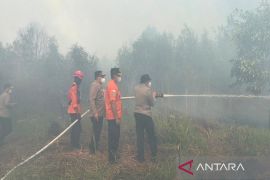 Kapolda Kalsel pimpin pemadaman karhutla terus meluas sekitar bandara