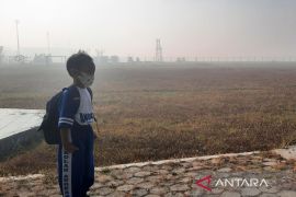 Dinkes Kalsel identifikasi kelompok berisiko terpapar asap karhutla